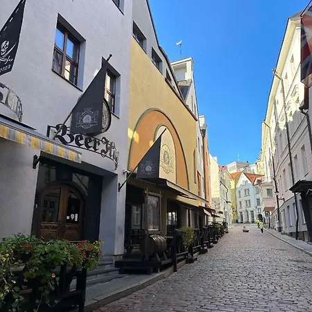 Rataskaevu Scandic Apartment