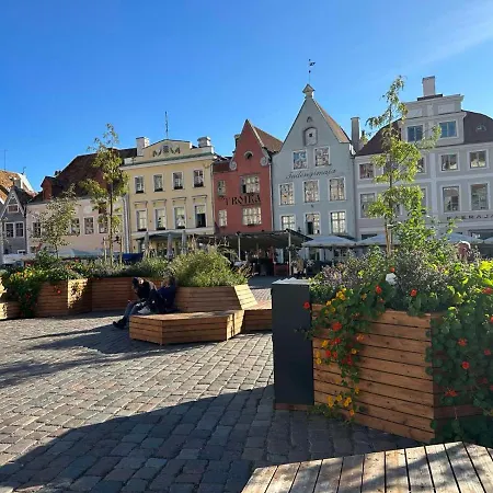 Rataskaevu Scandic Apartment *